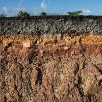 Talaj, soil, ground, Boden, föld